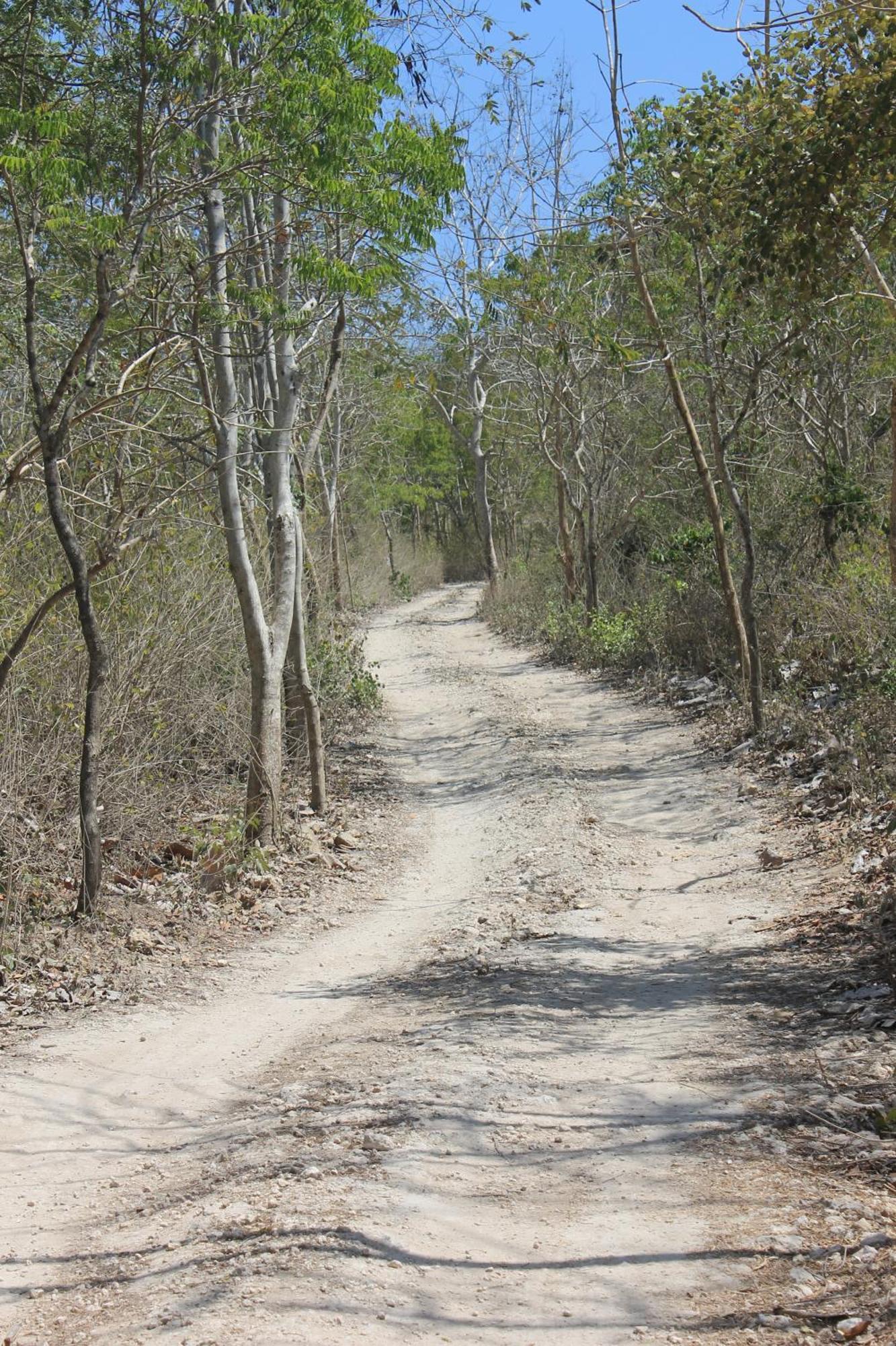Jeeva Beloam Beach Camp Tanjung Ringgit Zewnętrze zdjęcie