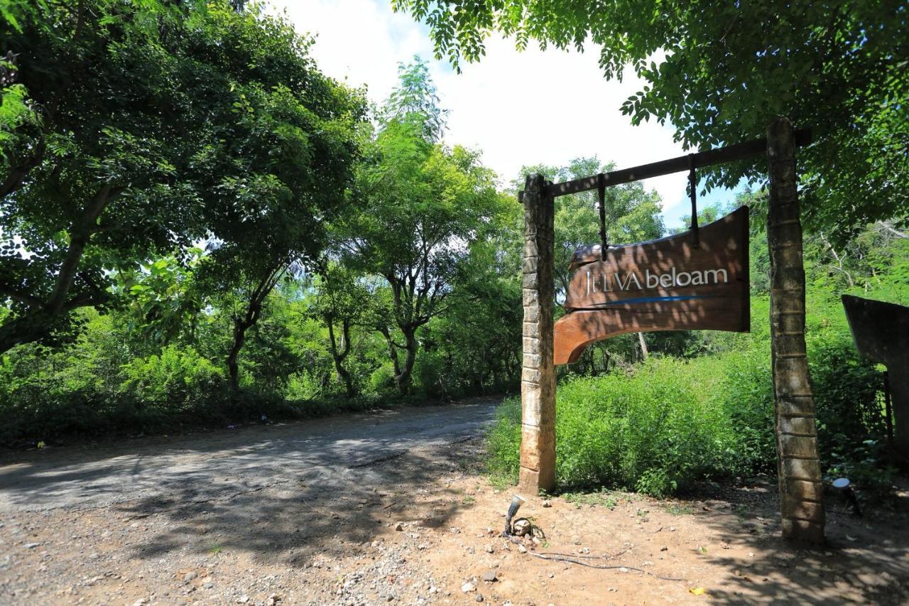 Jeeva Beloam Beach Camp Tanjung Ringgit Zewnętrze zdjęcie